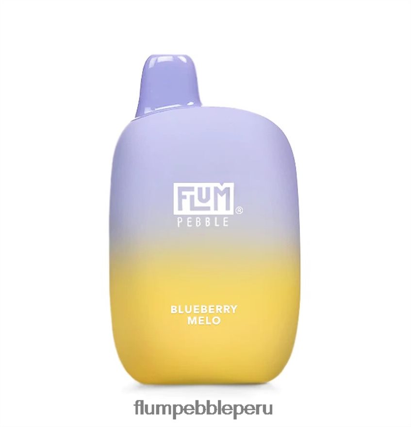 FLUM PEBBLES 6000 bocanadas melocotonero de arándanos - Flum Pebble Mayoreo XDP2BH16