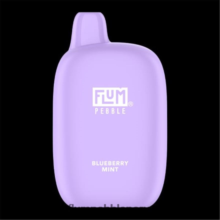 FLUM PEBBLES 6000 bocanadas menta de arándanos - Flum Pebble Vape Near Me XDP2BH17
