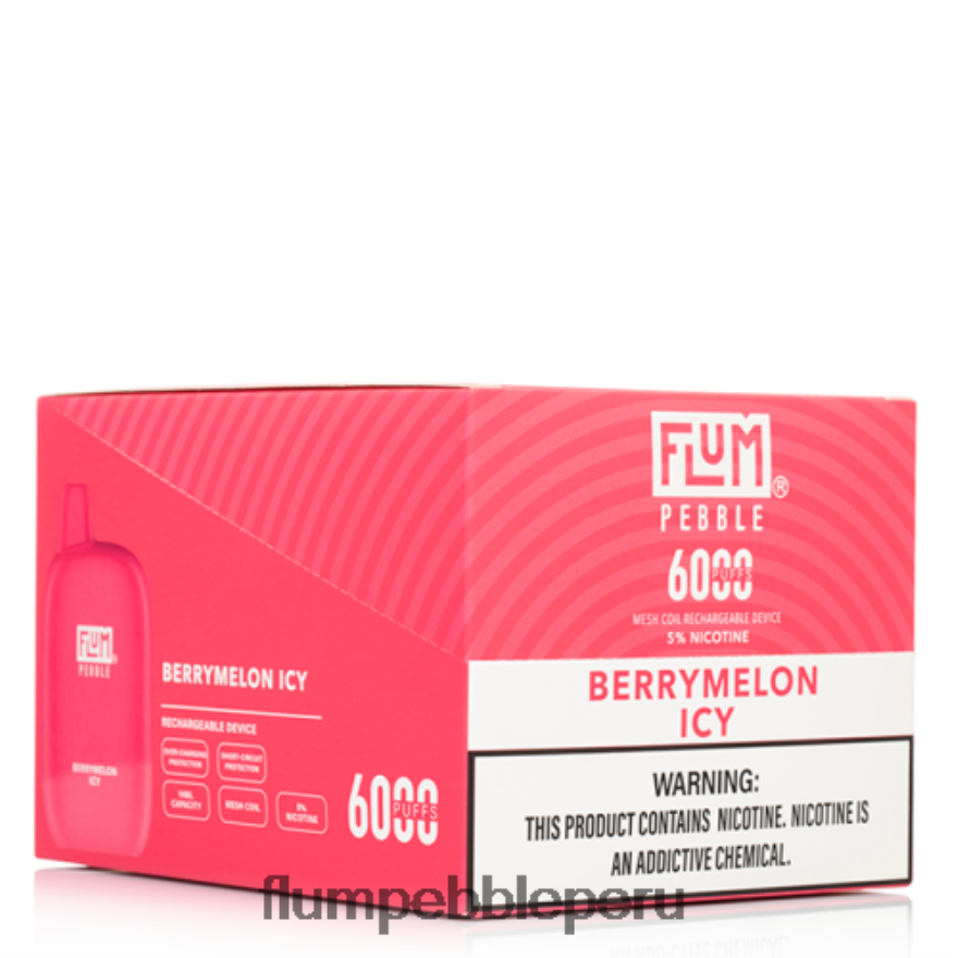 FLUM PEBBLES 6000 inhalaciones 10 paquetes melón helado - Flum Pebble Vape Flavors XDP2BH8