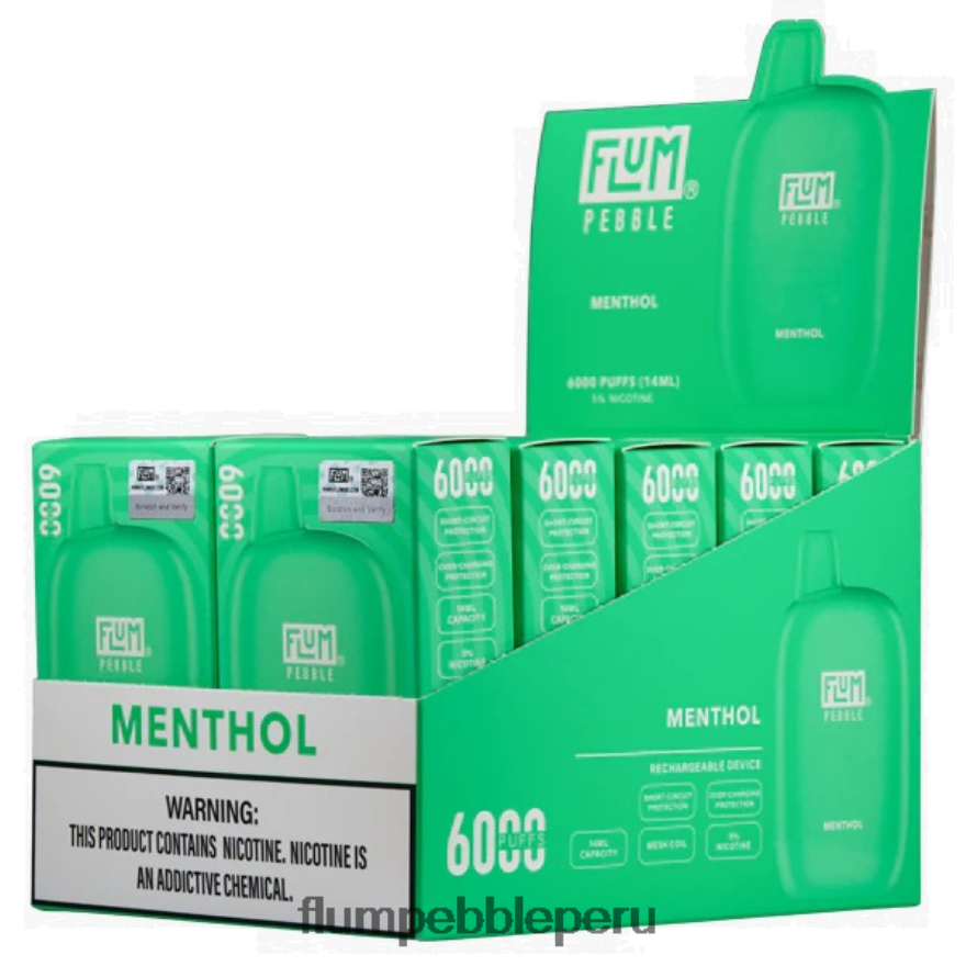 FLUM PEBBLES 6000 inhalaciones 10 paquetes mentol - Flum Pebble Vape Flavors XDP2BH58