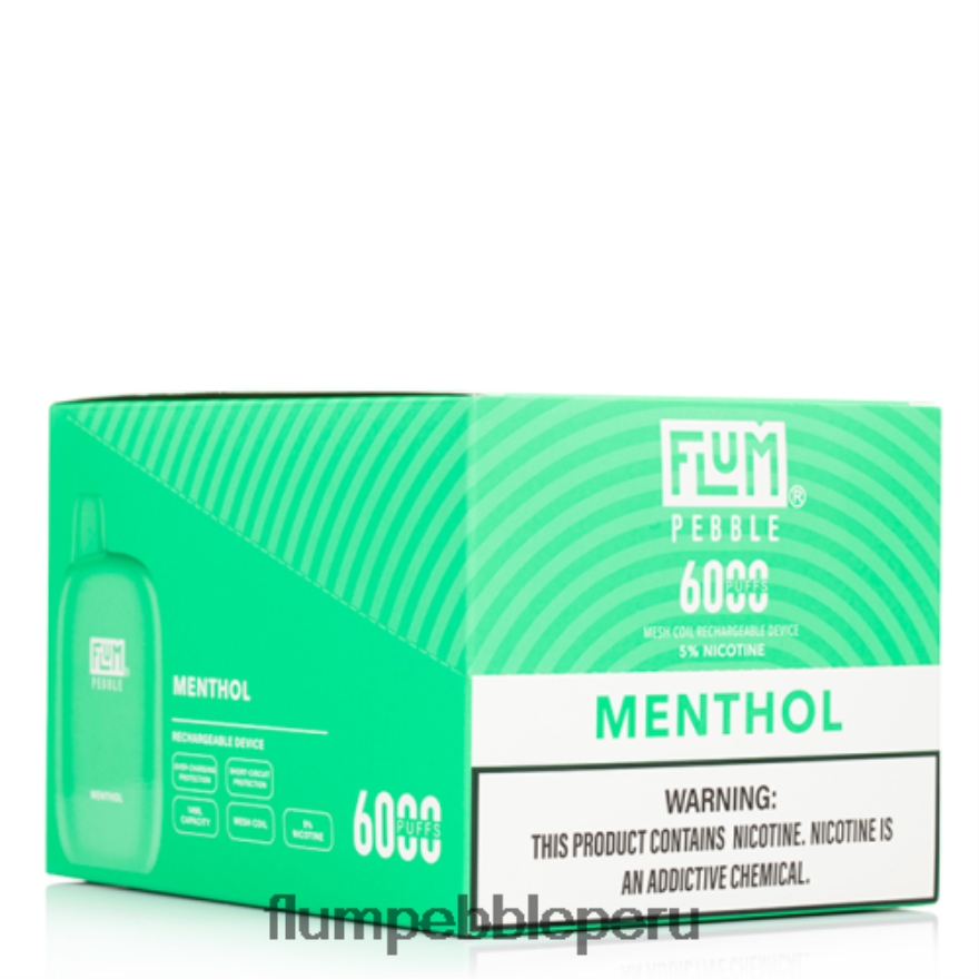 FLUM PEBBLES 6000 inhalaciones 10 paquetes mentol - Flum Pebble Vape Flavors XDP2BH58