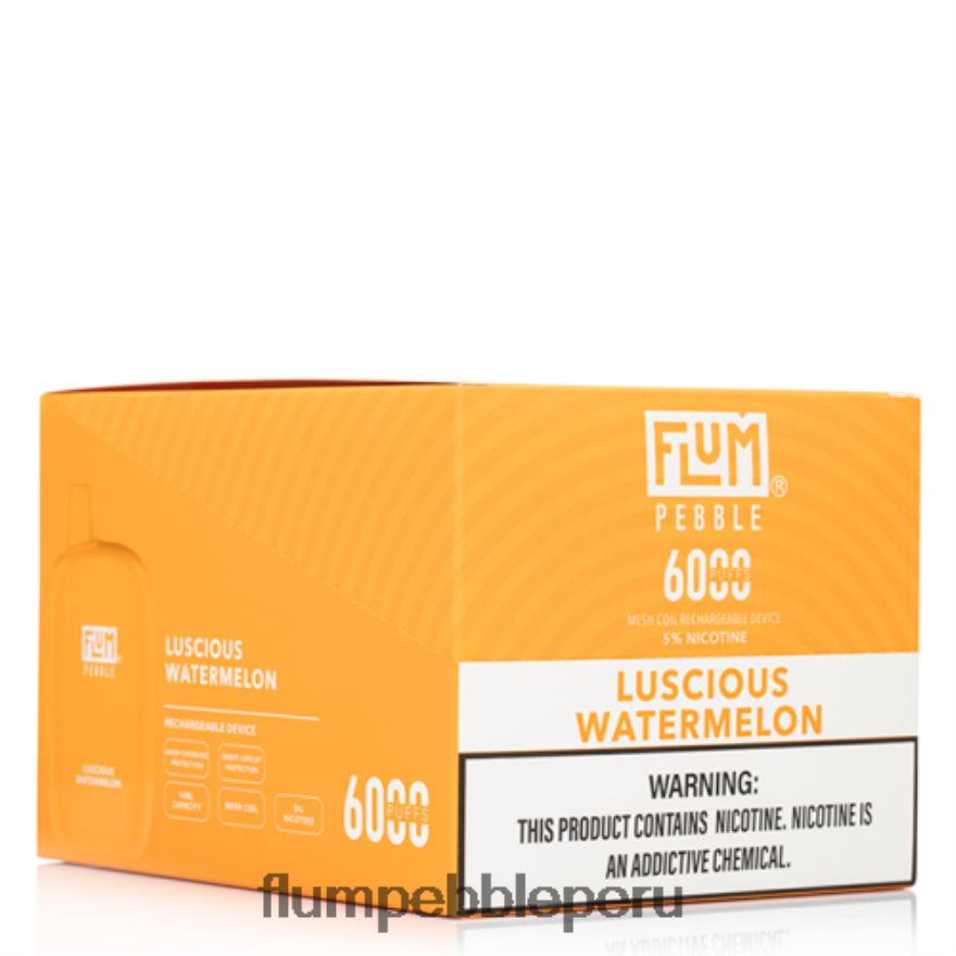 FLUM PEBBLES 6000 inhalaciones 10 paquetes sandia deliciosa - Flum Pebble Peru XDP2BH51